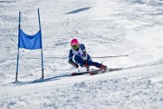 世界短道速滑锦标赛赛季赞助协议续签，短道速滑世锦赛2021冠军